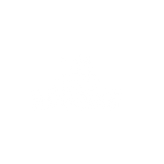 Ecobike