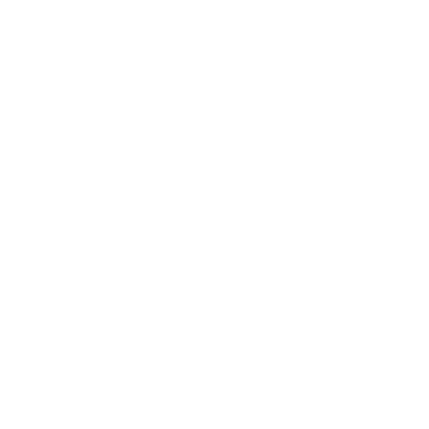 Ecobike